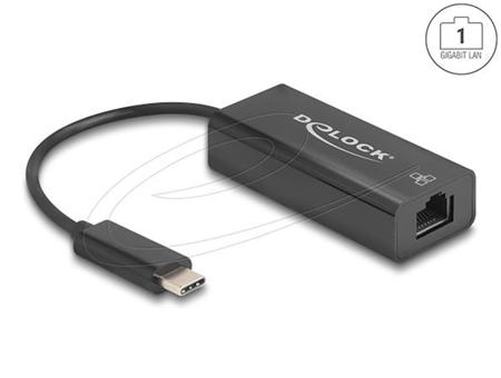 Delock USB 2.0 Type-C Síťový adaptér 10/100 Mbps