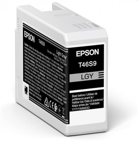 EPSON cartridge T46S9 light gray