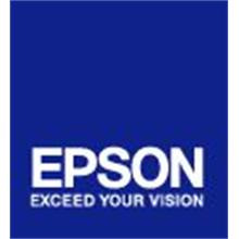 EPSON cartridge T5809 light light black (80ml)