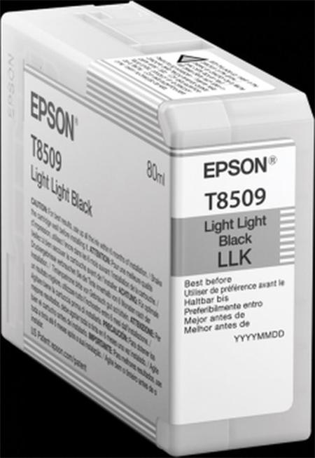 Epson Singlepack Photo Light Light Black T850900